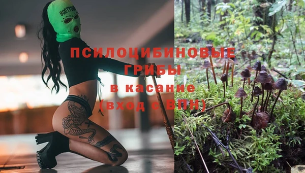 кокаин Белокуриха