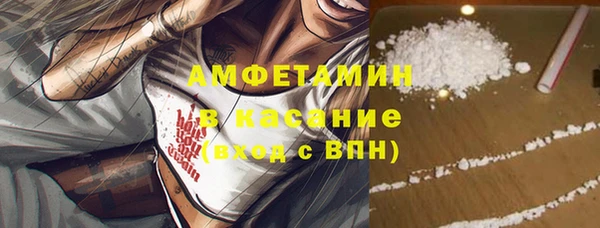 сатива Балахна